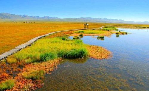 襄阳科技职业学院校花安若溪