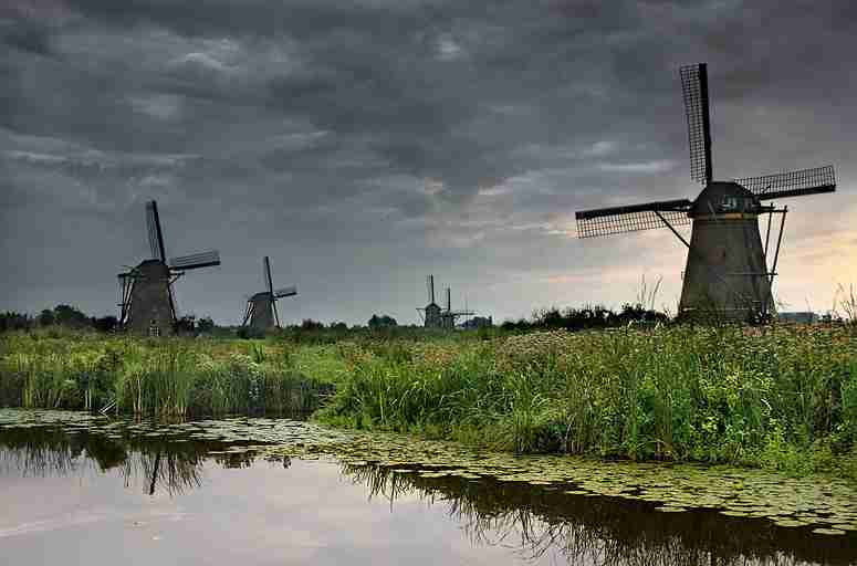 桂林生命与健康职业技术学院校花邹清晏