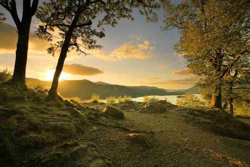 合肥共达职业技术学院校花施云舒