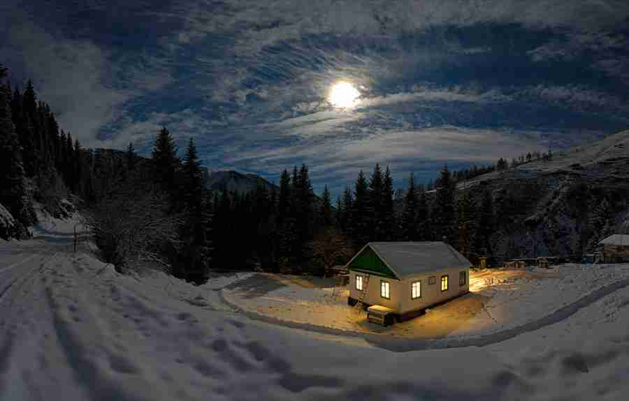 宁德师范学院校花秦知柚