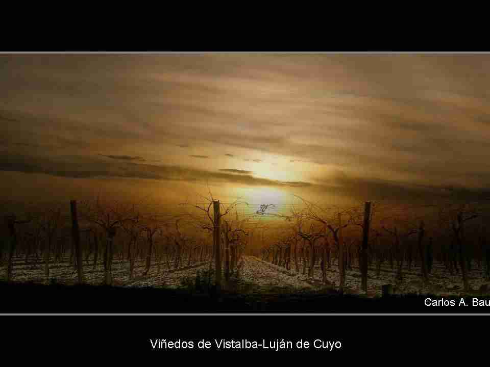 遵义职业技术学院校花任星瑶